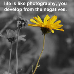 Life is like Photog